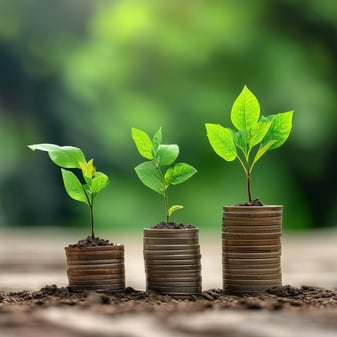 sustainability in business